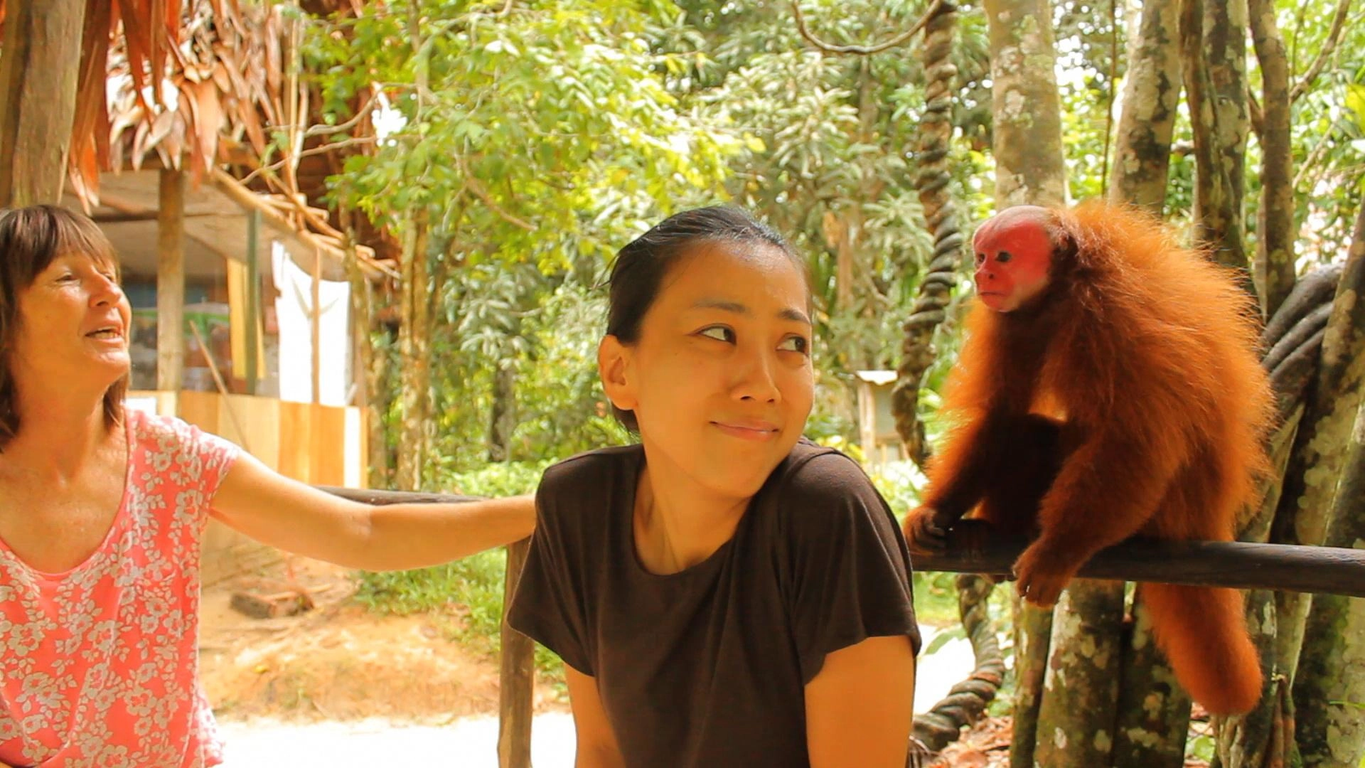 อาสาสมัครคนรักสัตว์