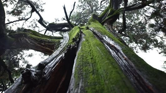 หวงเหอ...มาตุธารแดนมังกร