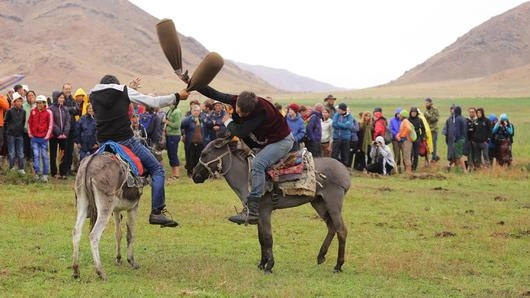 ทุ่งหญ้าเลี้ยงสัตว์บนภูเขาหิมะ