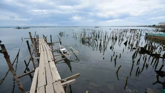 นครไต้ฝุ่น