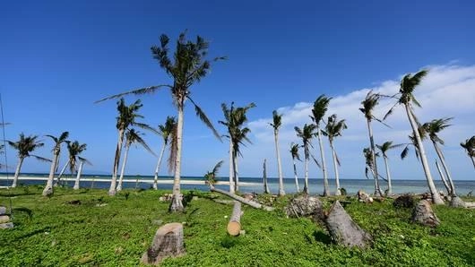 เมื่อโยลันดาพัดผ่าน