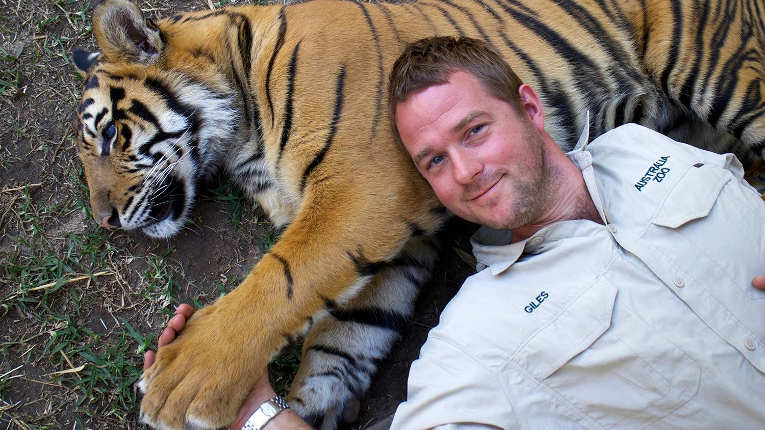 เจ้าเสือน้อย...เป็นหนุ่มแล้ว  ตอนที่ 1