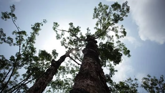 บนทางไปสู่รัตนคีรี กับบางสิ่งที่เปลี่ยนไป