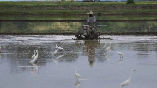 ดินดำน้ำชุ่มที่บรูไน