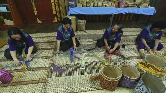 ป่าห่มเมืองบนเกาะบอร์เนียว