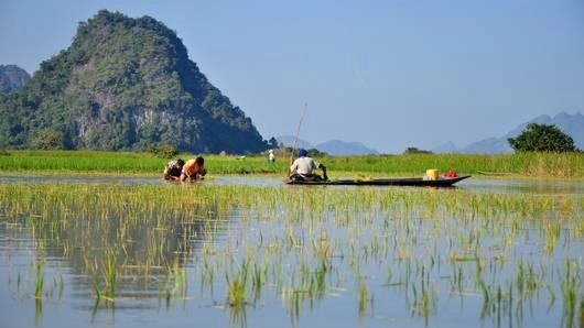 พันธสัญญาบนลานเต้นรำ
