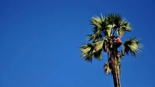 คำทำนายที่ยังมาไม่ถึง