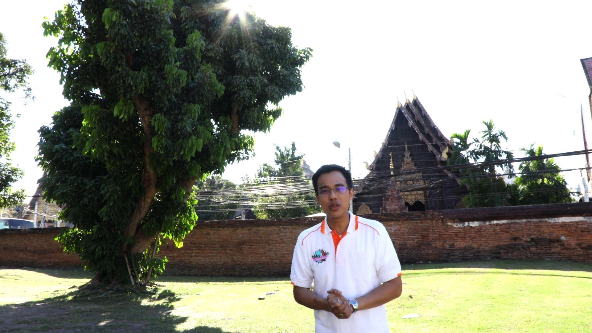 หมอต้นไม้ จ.เชียงใหม่