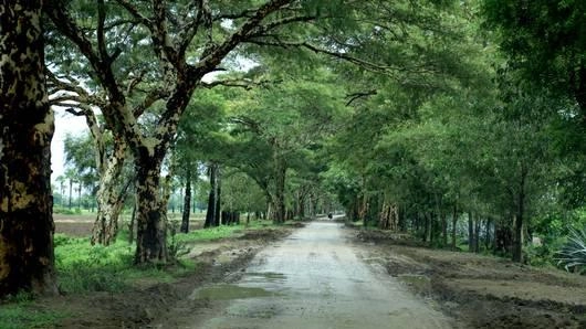 สำรวจเส้นทางการค้าอาเซียนสู่ชมพูทวีป