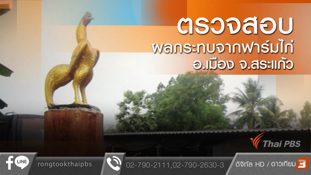 ตรวจสอบผลกระทบจากฟาร์มไก่ อ.เมือง จ.สระแก้ว