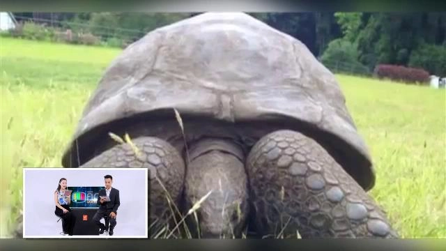 ประเด็นข่าว (25 มี.ค. 59)