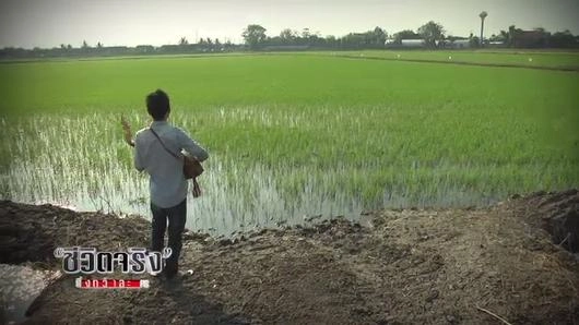 ดิน...ศิลปินริมทาง