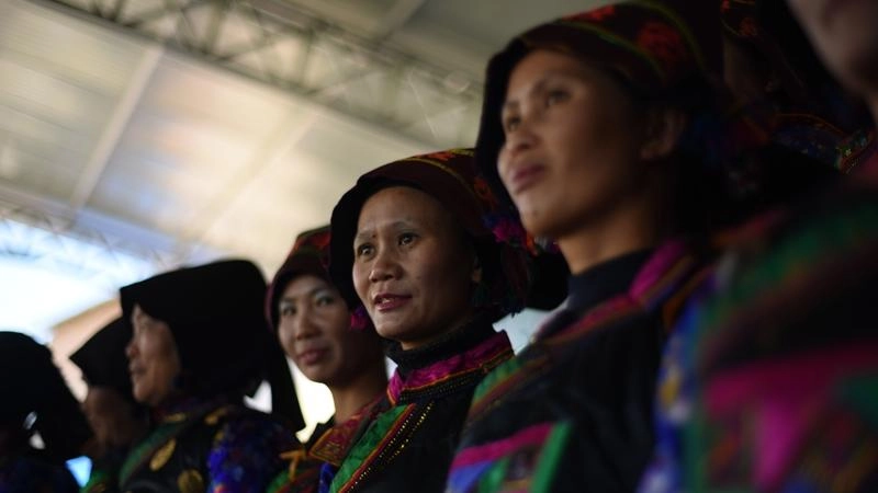 จ้วงในลวดลายมังกร