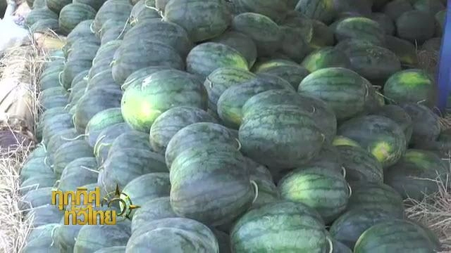 ประเด็นข่าว (25 มี.ค. 59)