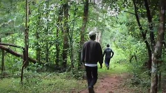 คนเล็กในป่าใหญ่