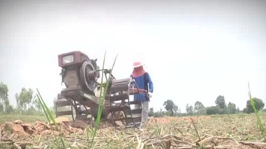 จำนำข้าว จำนำชีวิต