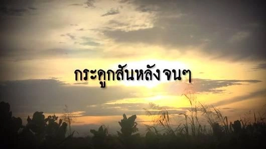 กระดูกสันหลังจนๆ