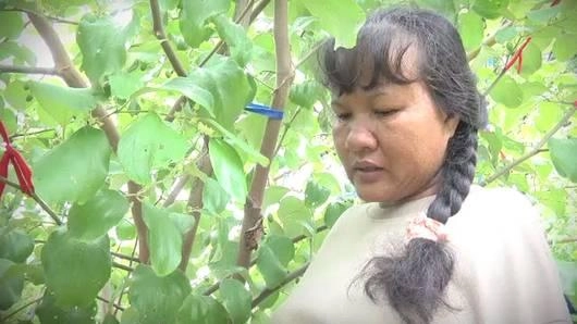 แม่เลี้ยง