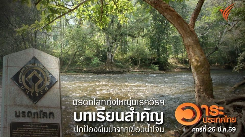 มรดกโลกทุ่งใหญ่นเรศวรฯ บทเรียนสำคัญปกป้องผืนป่าจากเขื่อนน้ำโจน