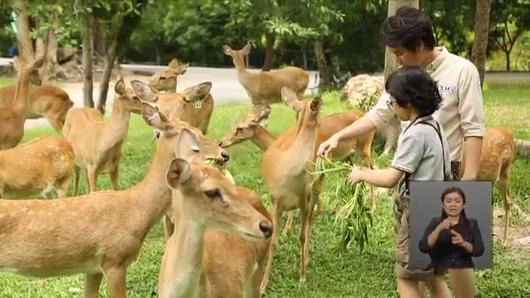 ความคิดเห็นต่อรายการ Animals Speak