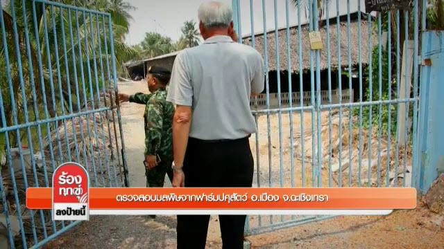 ตรวจสอบมลพิษจากฟาร์มปศุสัตว์ อ.เมือง จ.ฉะเชิงเทรา