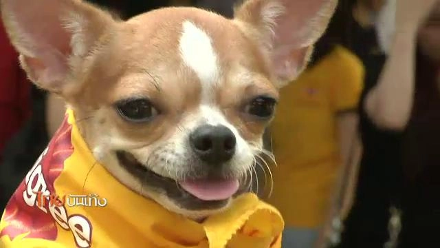 ​ประเด็นข่าว (28 มี.ค. 59)