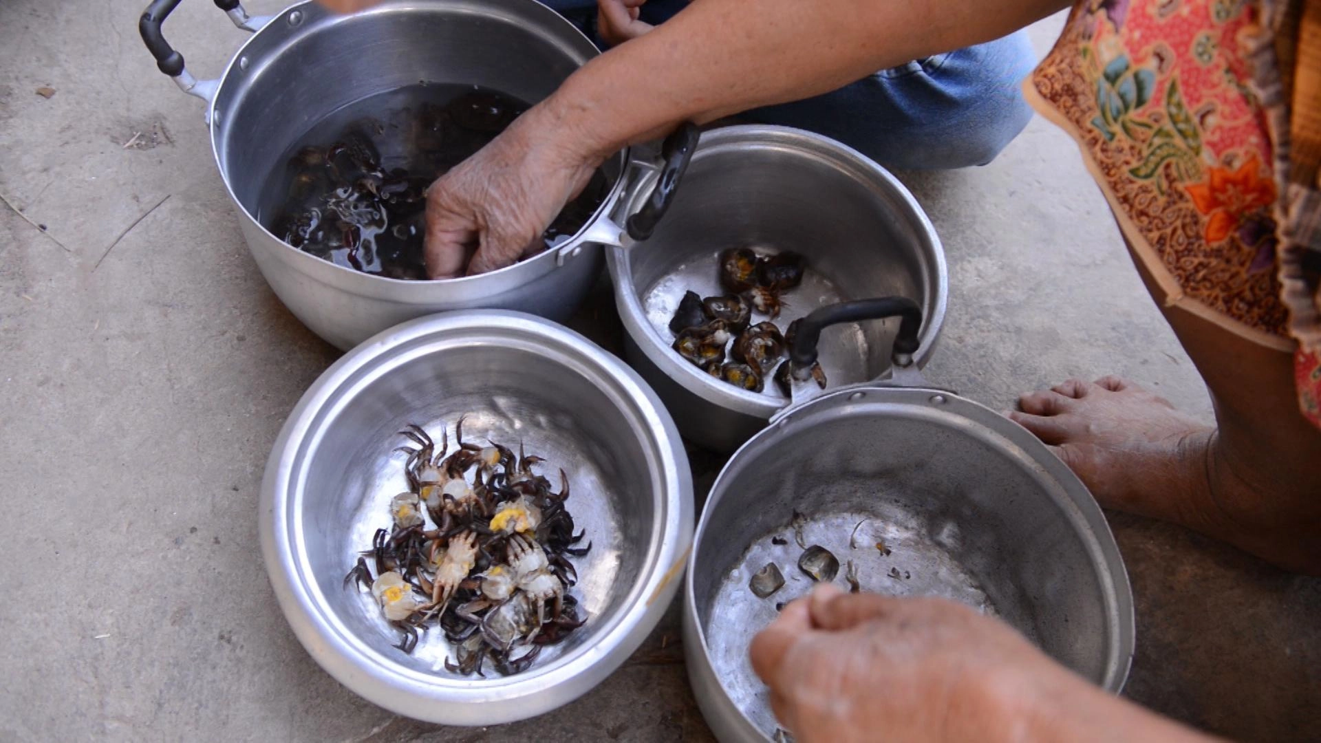 ​ทะเลสีดอ