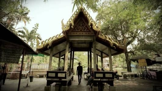 ผีหลอกวิญญาณหลอนย้อนแย้ง