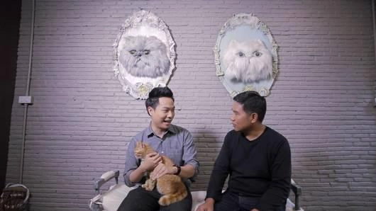 อิทธิพลแมว