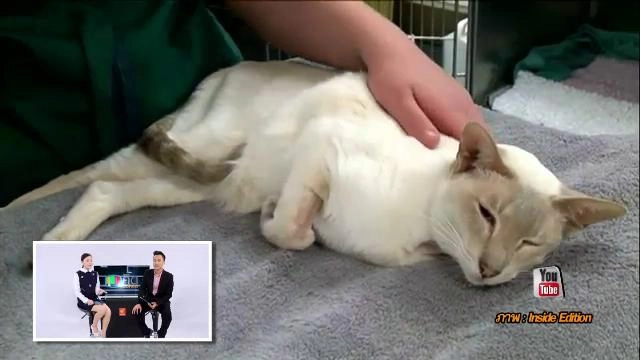 ประเด็นข่าว (30 มี.ค. 59)