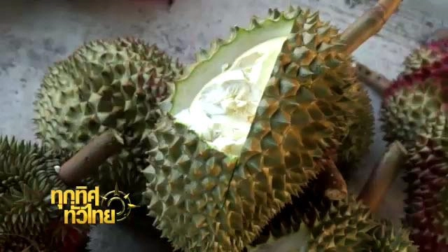 ประเด็นข่าว (31 มี.ค. 59)