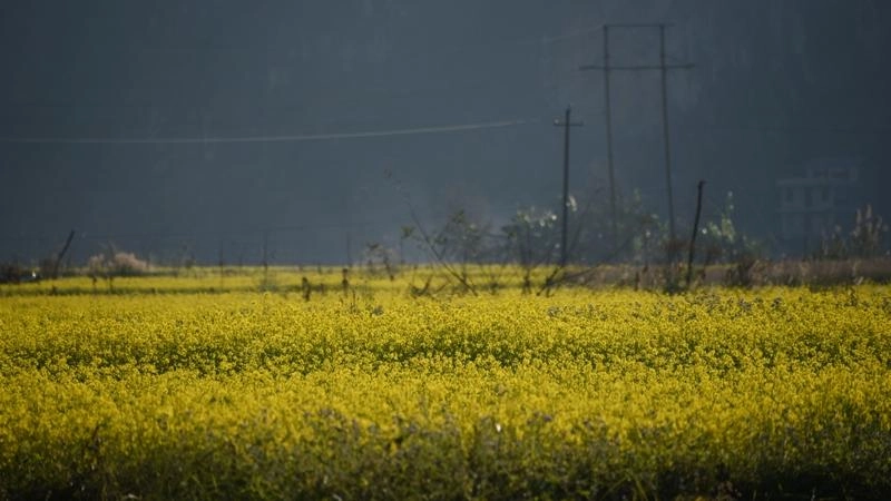 หมู่บ้านลับแลของชาวจ้วง