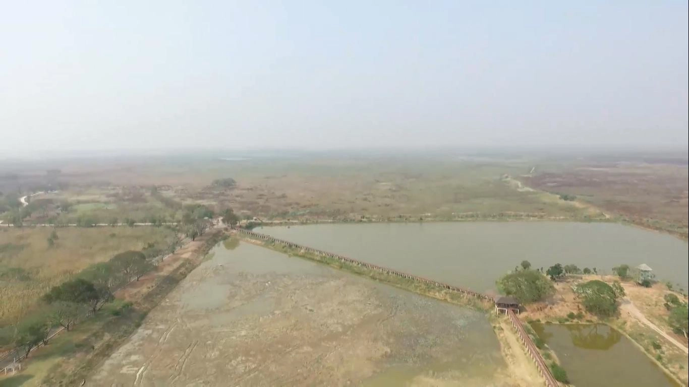 บึงบอระเพ็ด(ที่เข็ดขม)