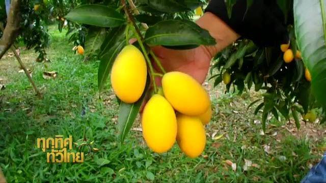 ประเด็นข่าว (4 เม.ย. 59)