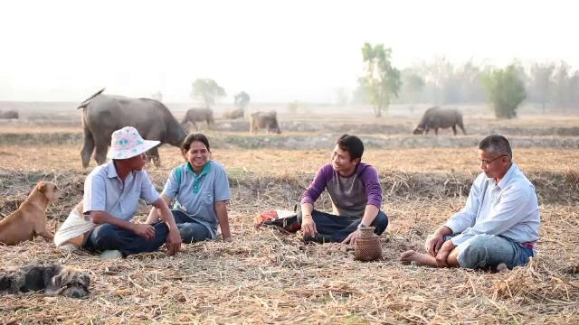 ​วังชัยบ่แพ้