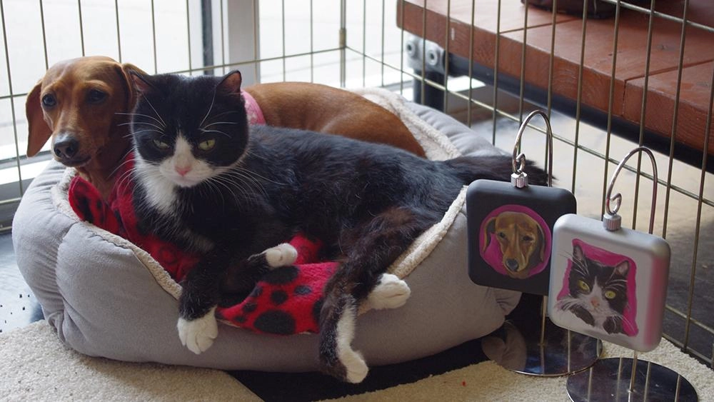 เพื่อนซี้ต่างสายพันธุ์ ตอน รักแรกพบ