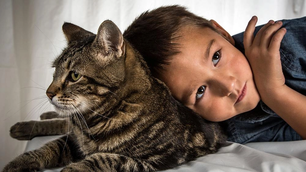 เพื่อนซี้ต่างสายพันธุ์ ตอน แมววีรบุรุษ