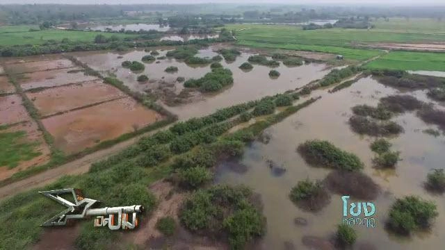 โขงหลงฤดู