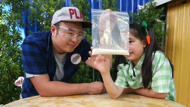 ไฟฟ้าสถิต