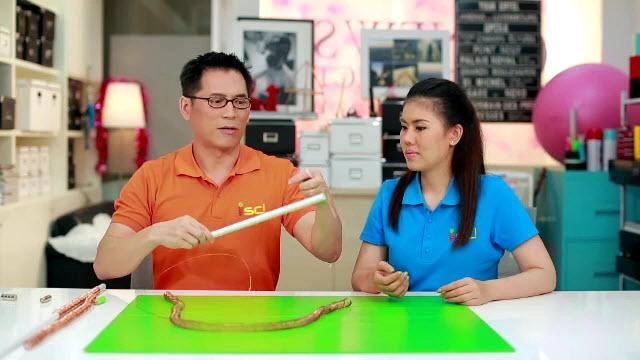 รถไฟแม่เหล็กไฟฟ้า