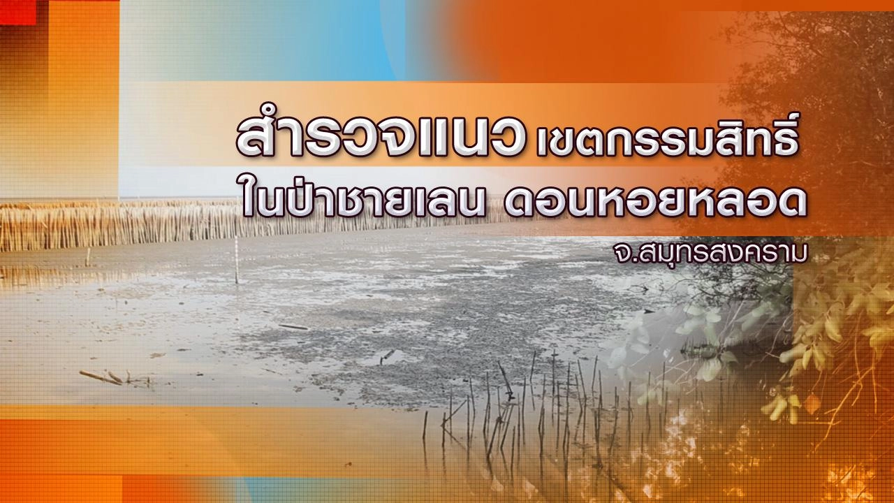 สำรวจแนวเขตกรรมสิทธิ์ในป่าชายเลน ดอนหอยหลอด จ.สมุทรสงคราม
