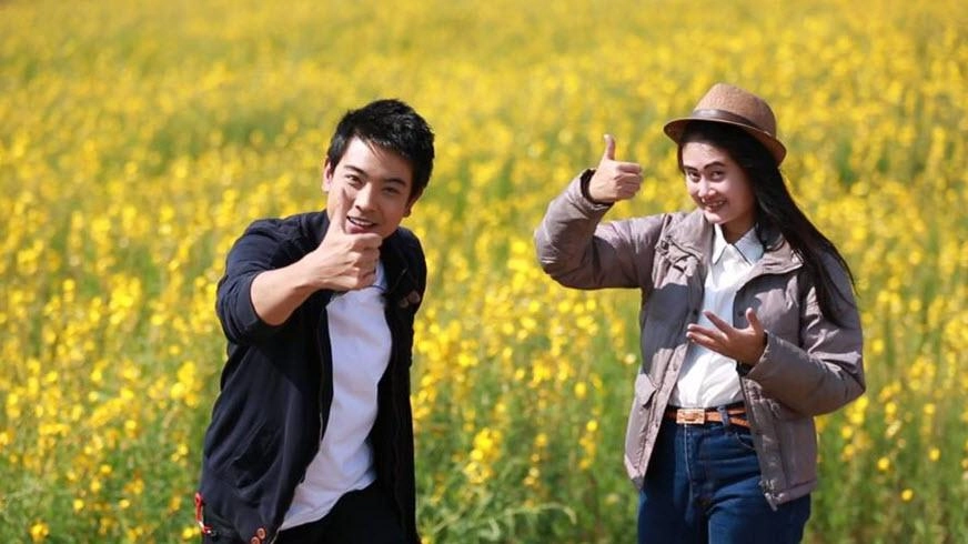 เที่ยวปอเทือง และเพาะต้นอ่อนทานตะวัน