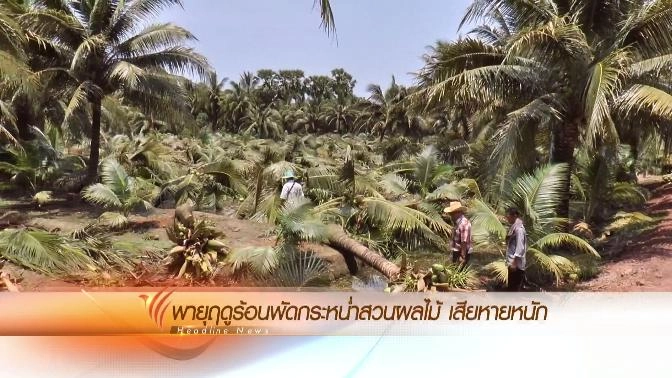 ประเด็นข่าว (1 พ.ค. 59)