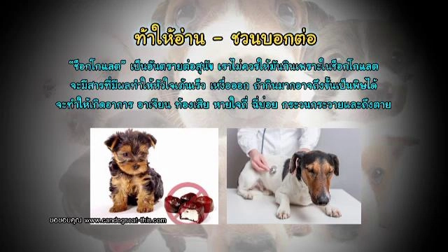 ​ฟุตบอลอะคาเดมี่