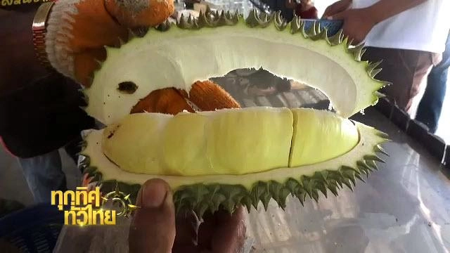 ประเด็นข่าว (4 พ.ค. 59)