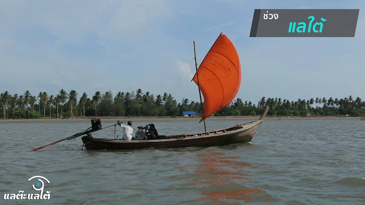 Summer นี้ บ้านโหมเรา