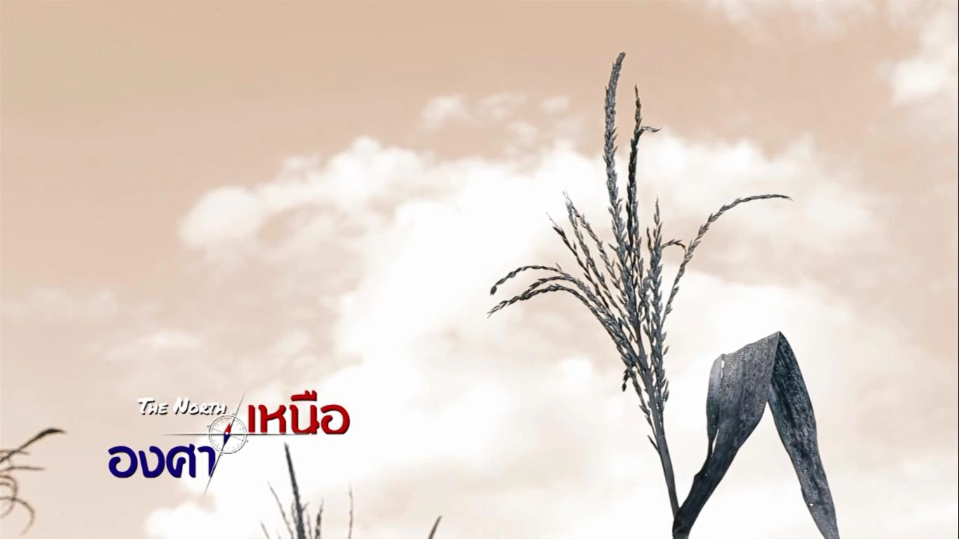 The North องศาเหนือ