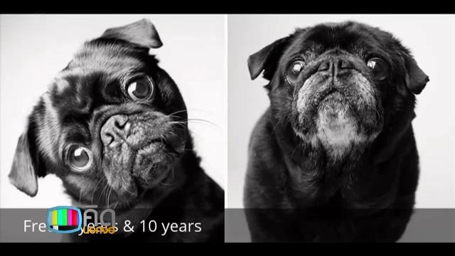 ประเด็นข่าว (4 ม.ค. 59)