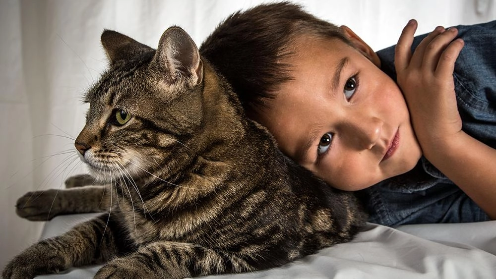 เพื่อนซี้ต่างสายพันธุ์  ตอน  แมววีรบุรุษ