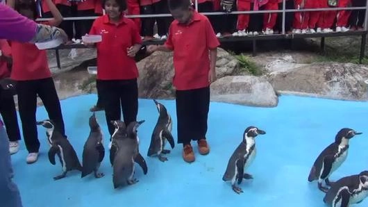 คิดนอกจอ